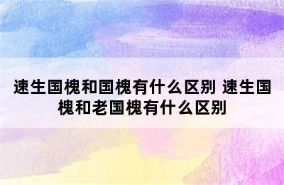 速生国槐和国槐有什么区别 速生国槐和老国槐有什么区别